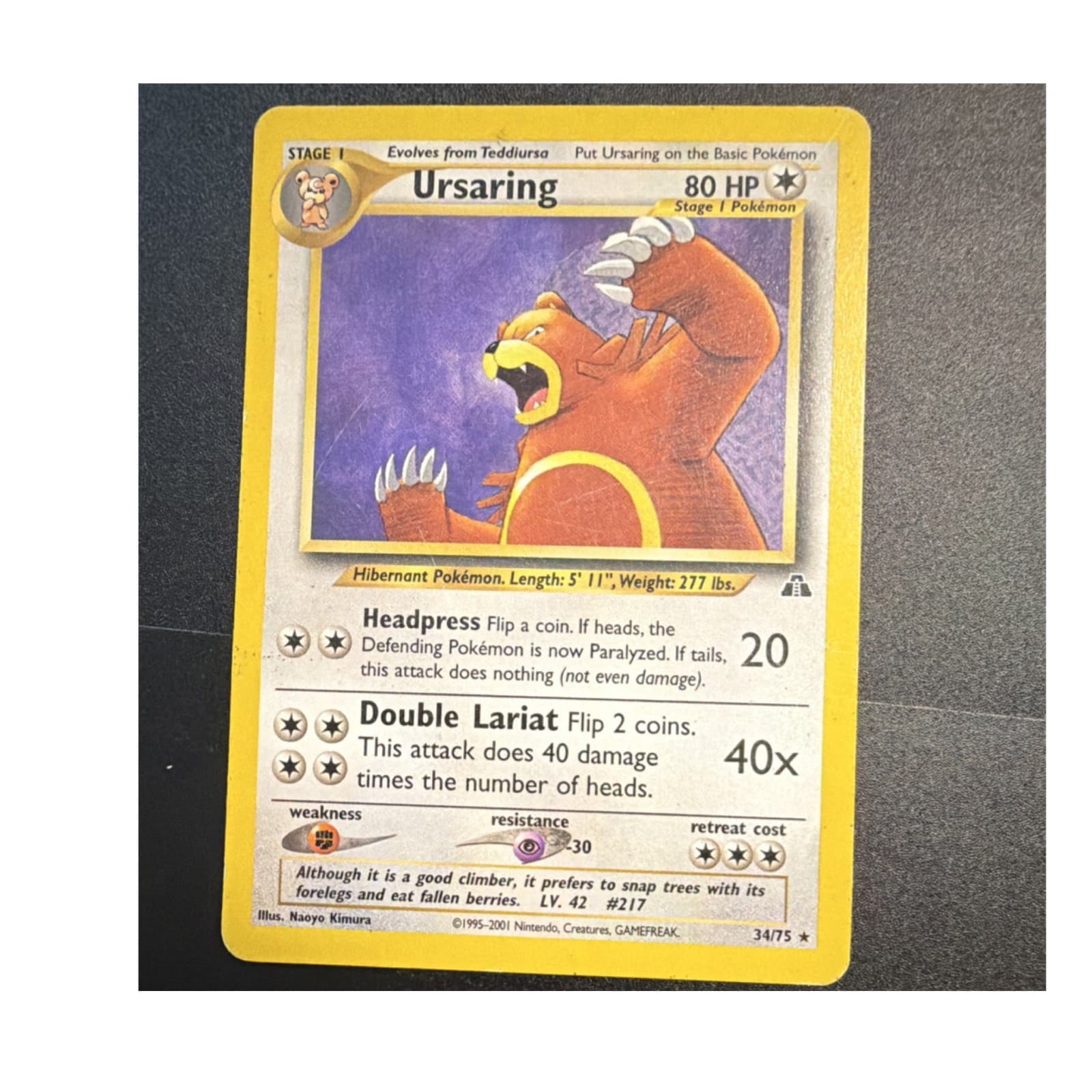 Pokémon Ursaring 34/75 Neo Discovery Rare Regular English 80 HP Stage 1 2001
