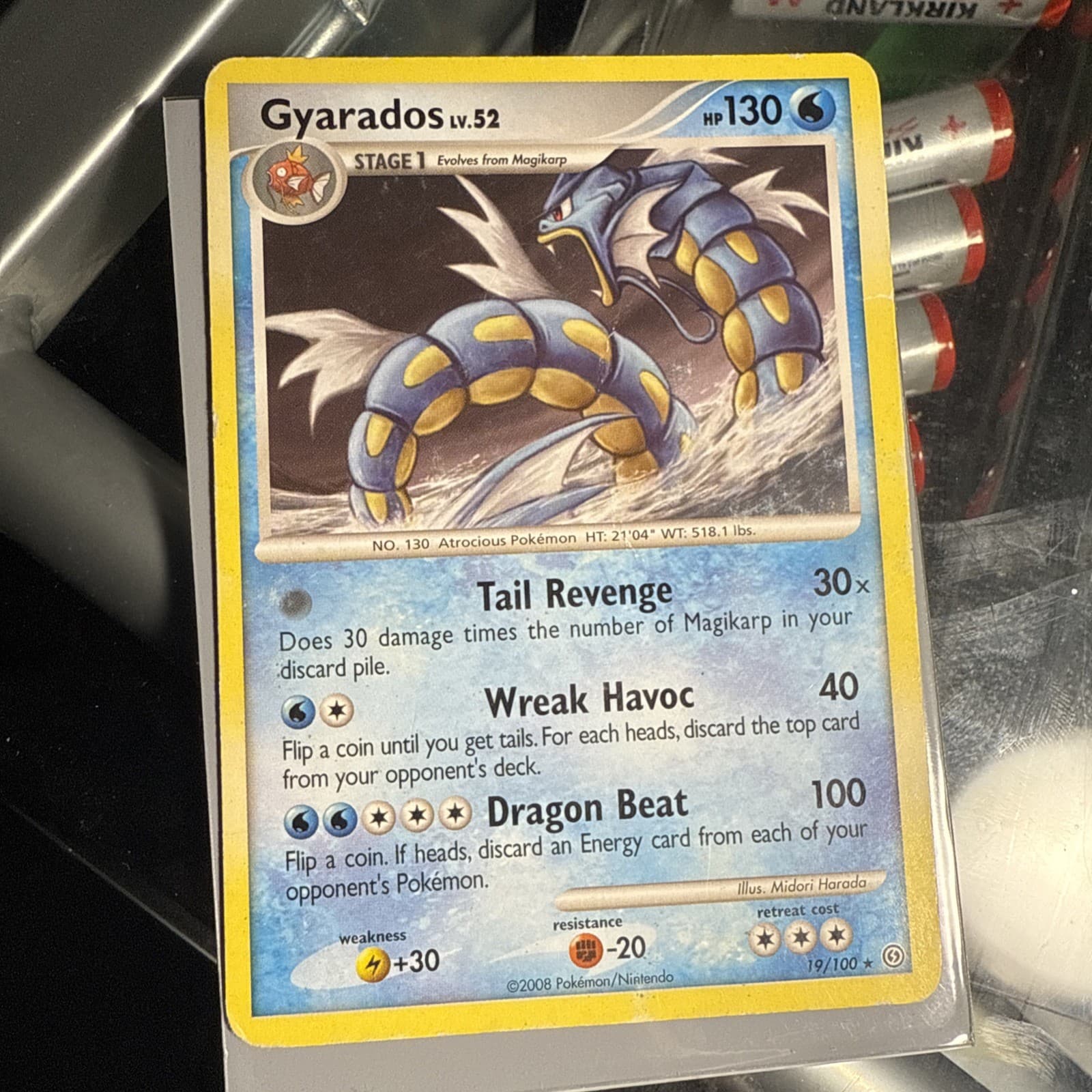 Gyarados 19/100 Rare Stormfront Regular TCG Pokémon Card