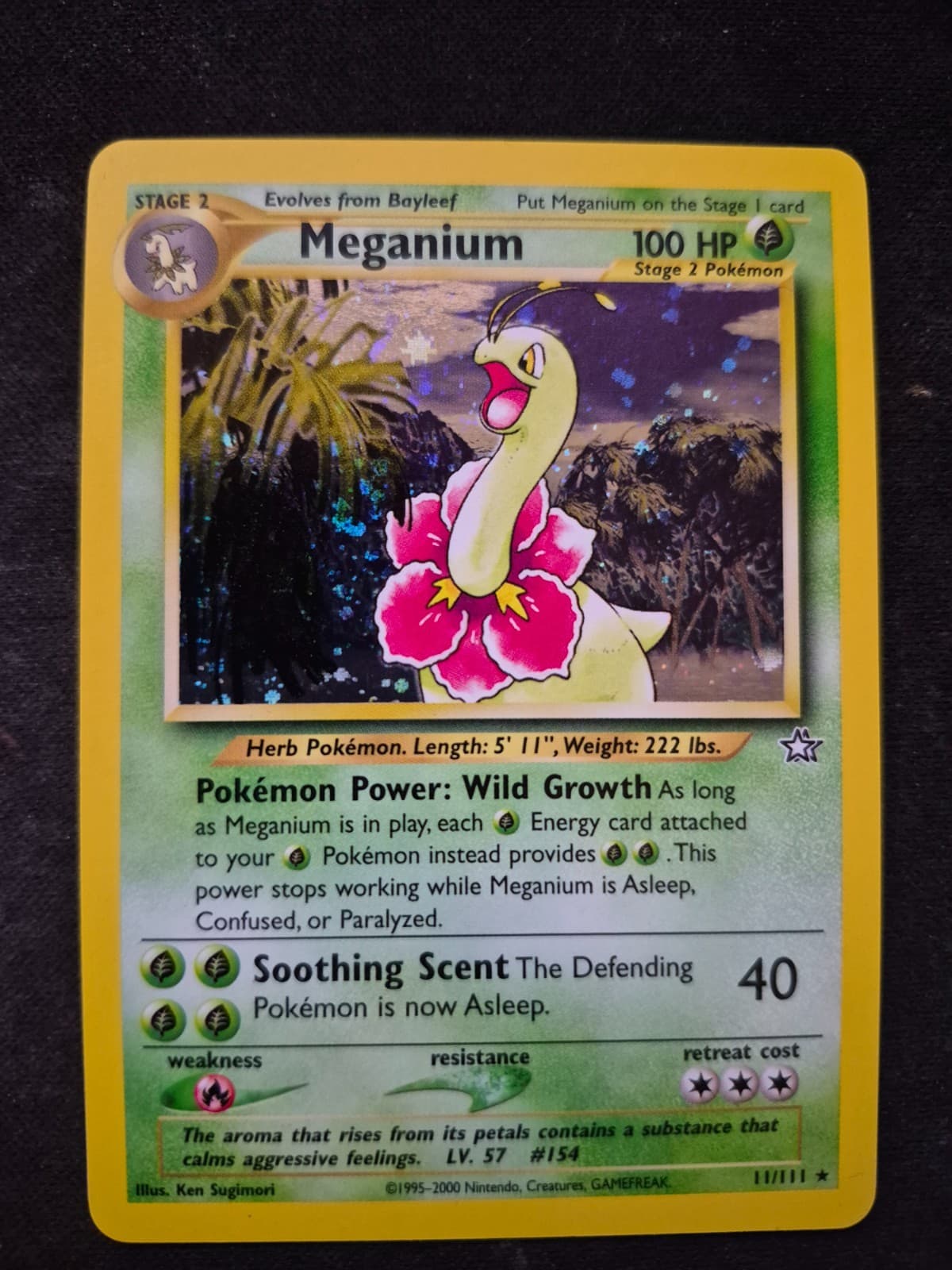 Meganium 11/111 Neo Genesis Holo - NM