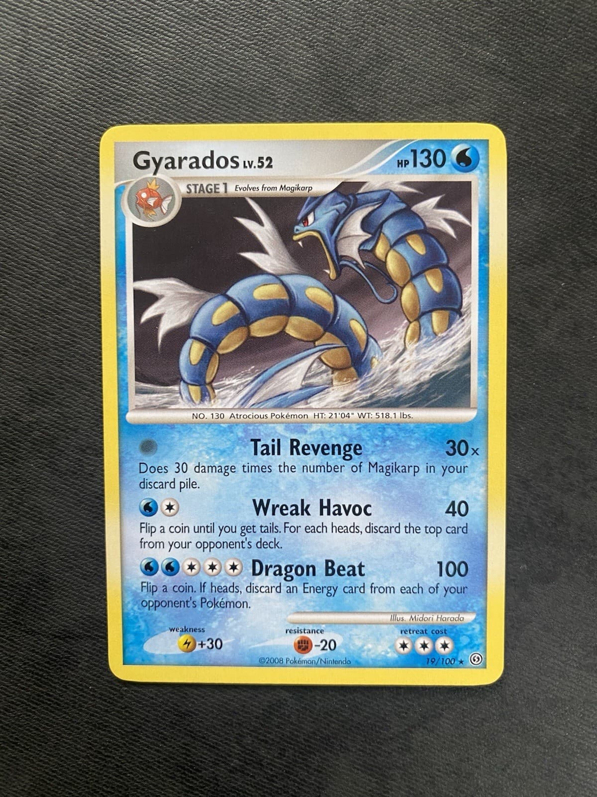 Gyarados 19/100 Diamond & Pearl Stormfront Non Holo 2008 Pokemon Tgc