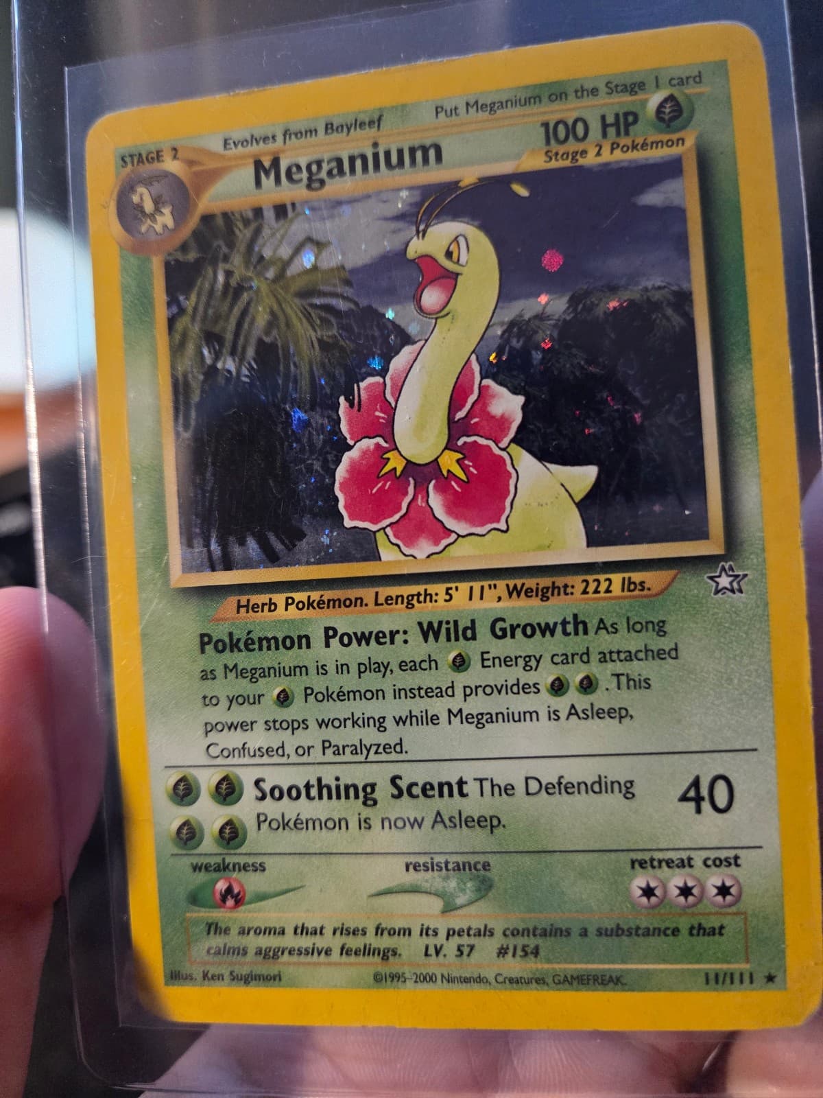 Meganium 11/111 Neo Genesis Holo