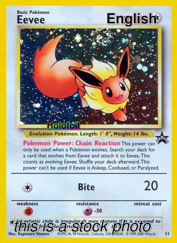 Eevee [Holofoil MP - WoTC Promo 11/53]