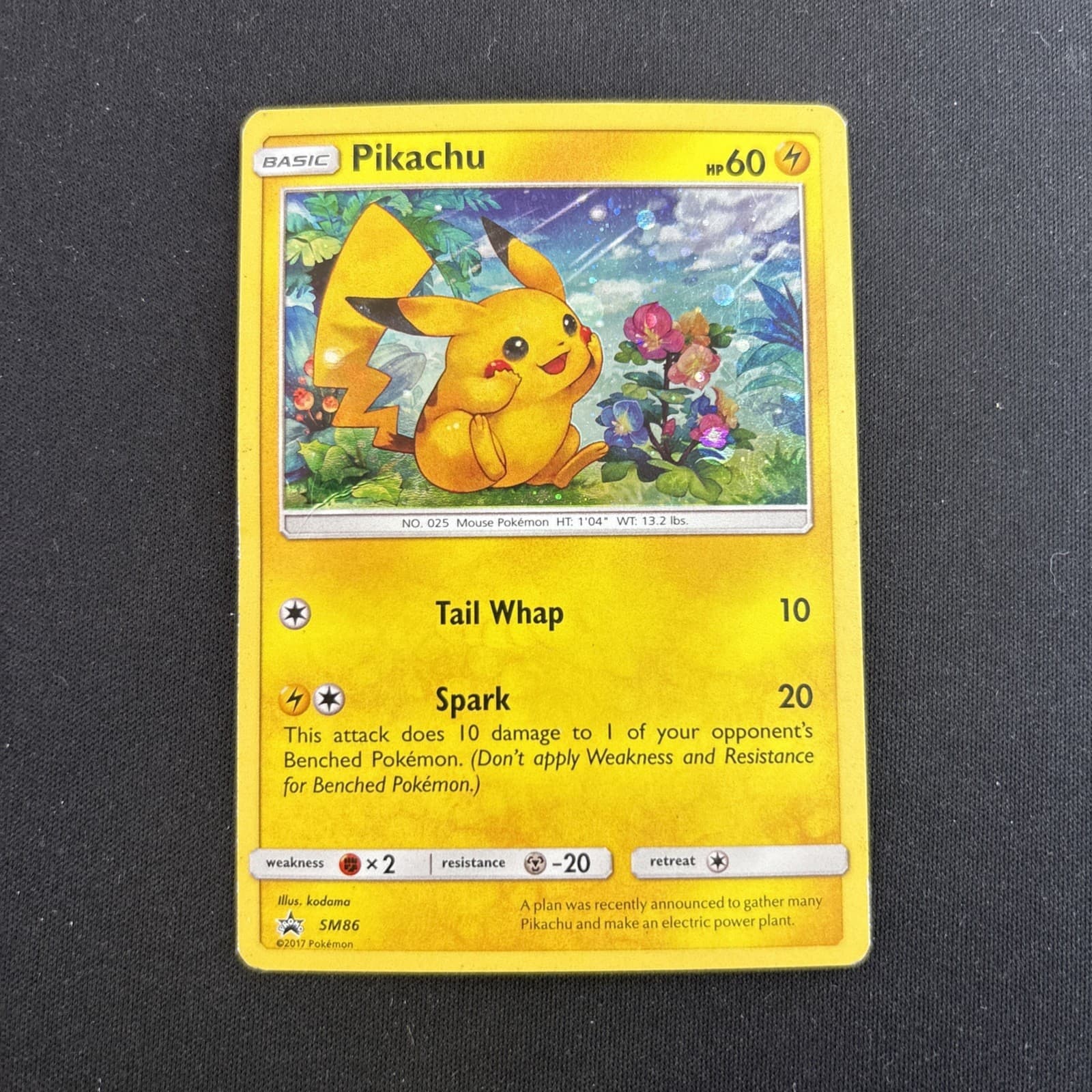 The Pokémon Company Pikachu SM86 SM Promo Holo English 2017 60HP