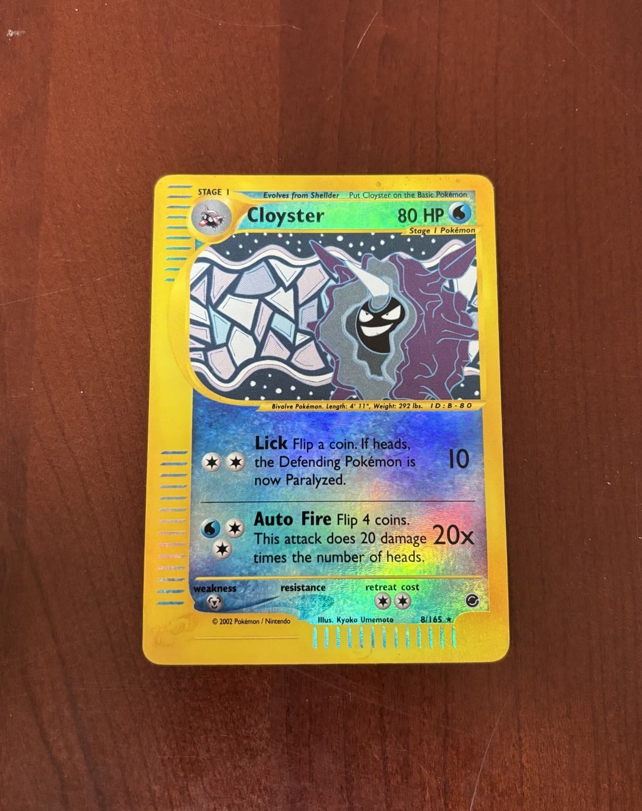 Cloyster 8/165 Expedition E-Reader Reverse Holo