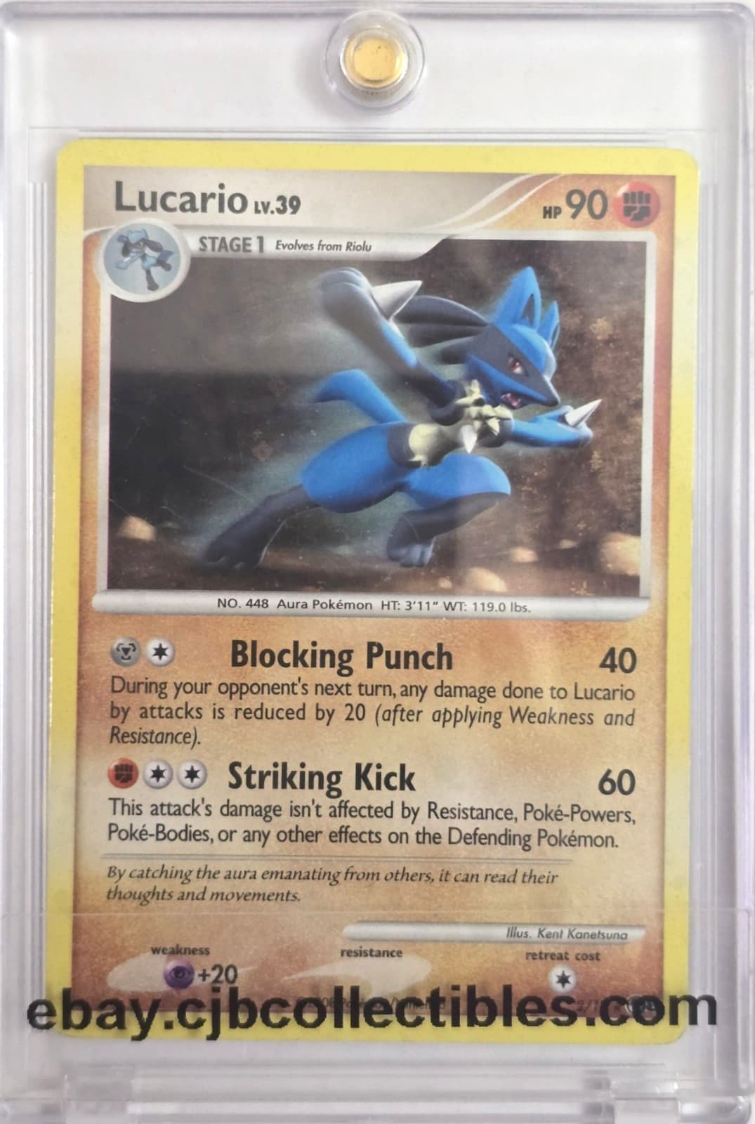 Pokémon LUCARIO 2/17 Holo Rare POP Series 8 - Played 🍒