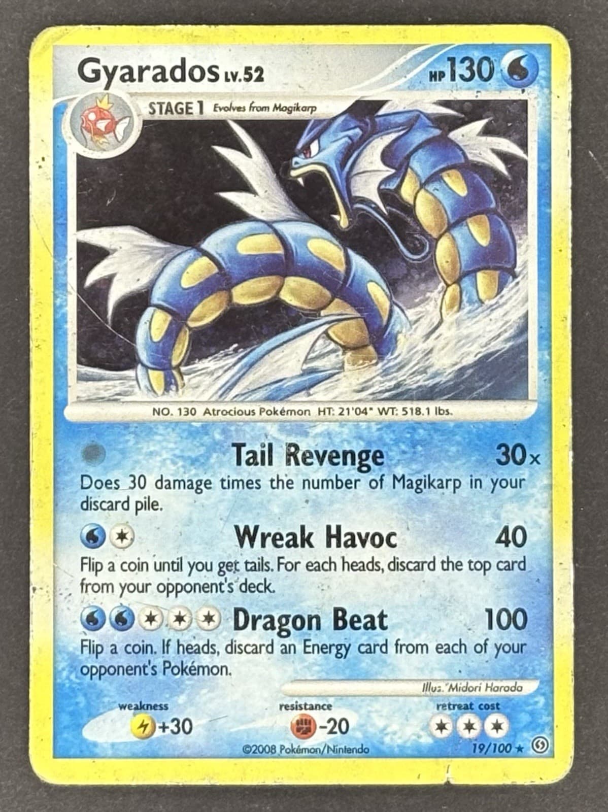 Gyarados 19/100 Pokemon TCG Stormfront Non Holo Regular - Damaged