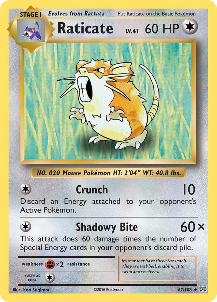 Raticate - XY - Evolutions