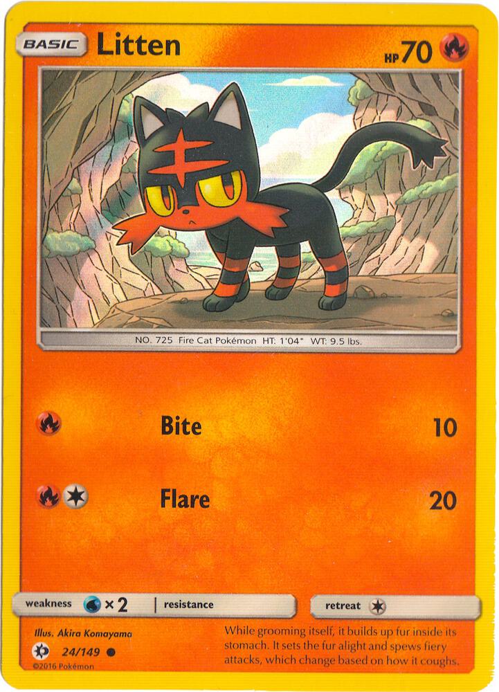 Litten (Water Web Holo)