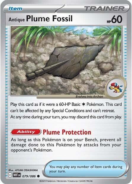 Antique Plume Fossil - SV: White Flare
