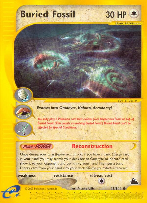 Buried Fossil - Skyridge