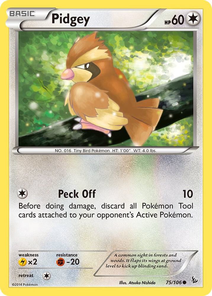 Pidgey - XY - Flashfire