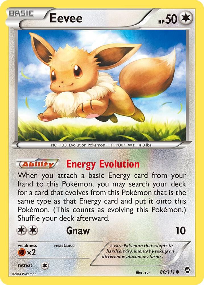 Eevee - XY - Furious Fists