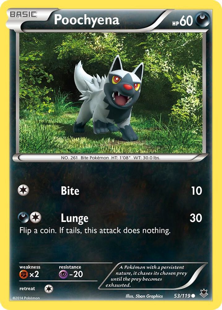 Poochyena - XY - Phantom Forces