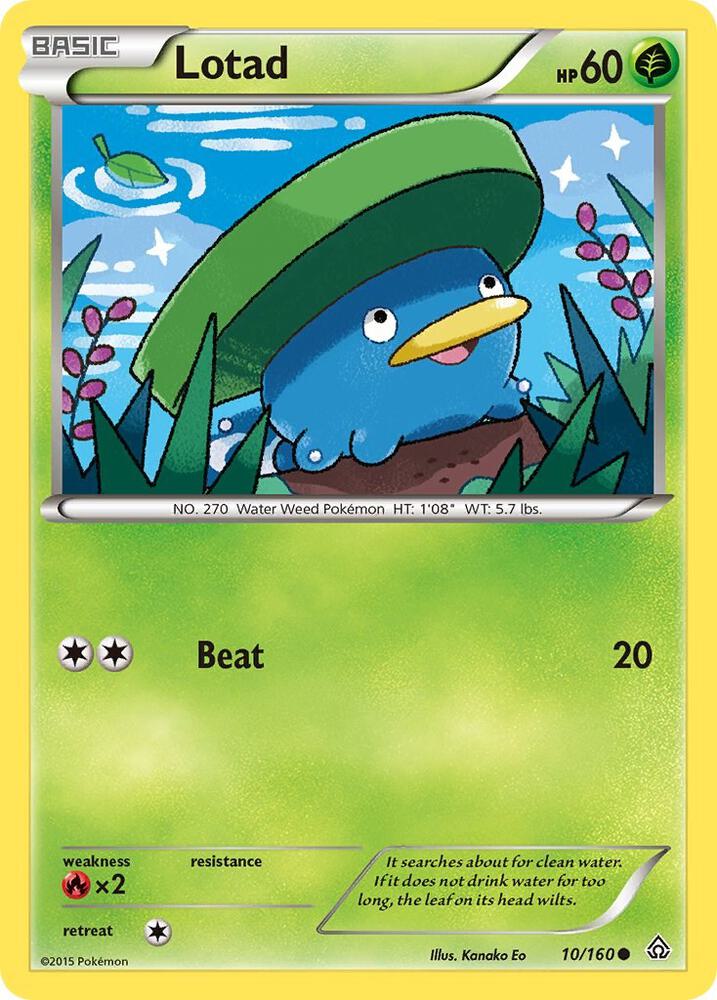 Lotad - XY - Primal Clash