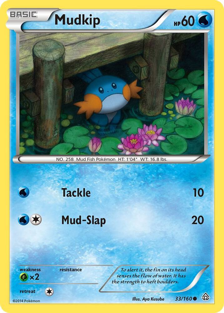 Mudkip - XY - Primal Clash