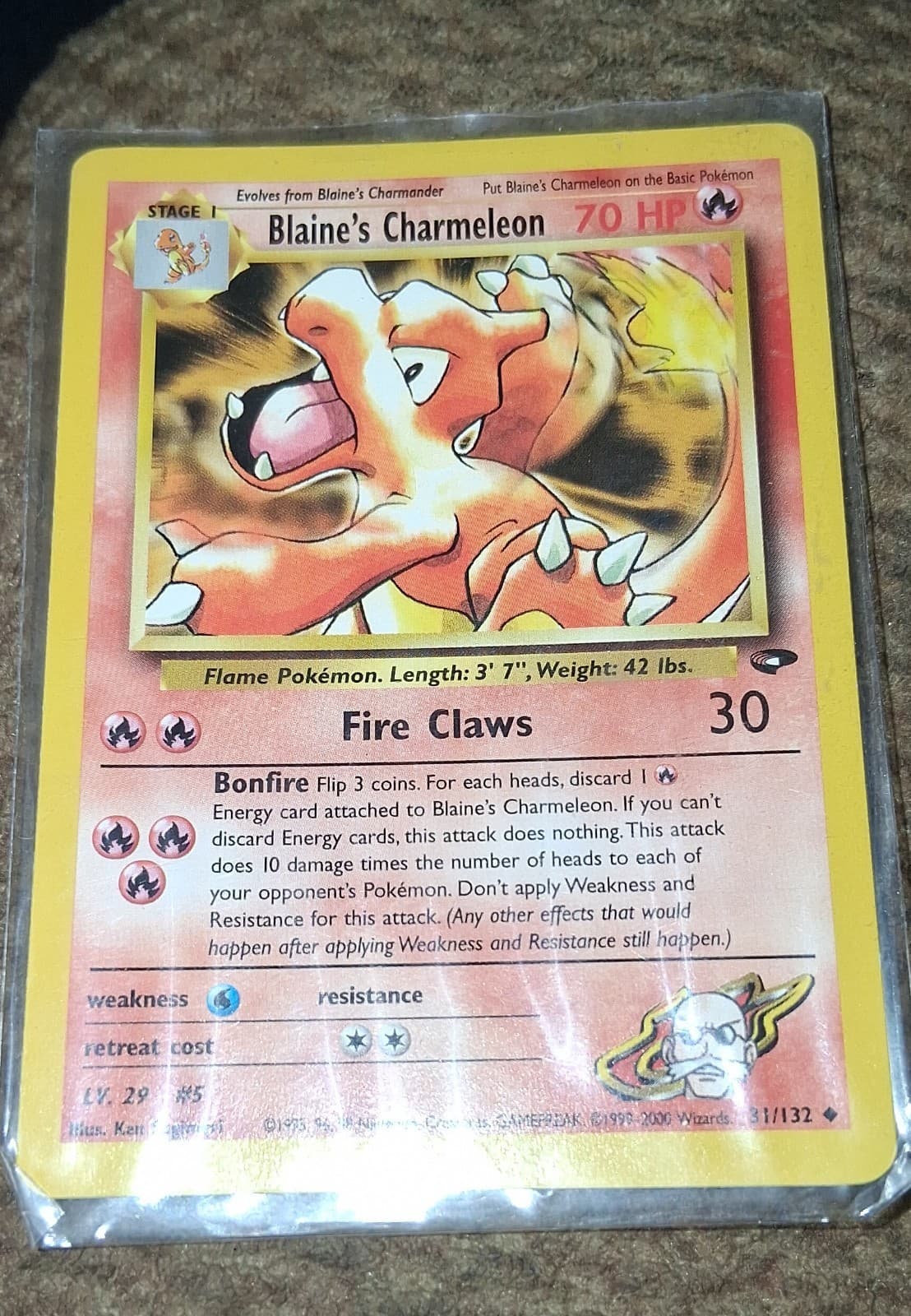 Blaine's Charmeleon 31/132 Gym Challenge Regular