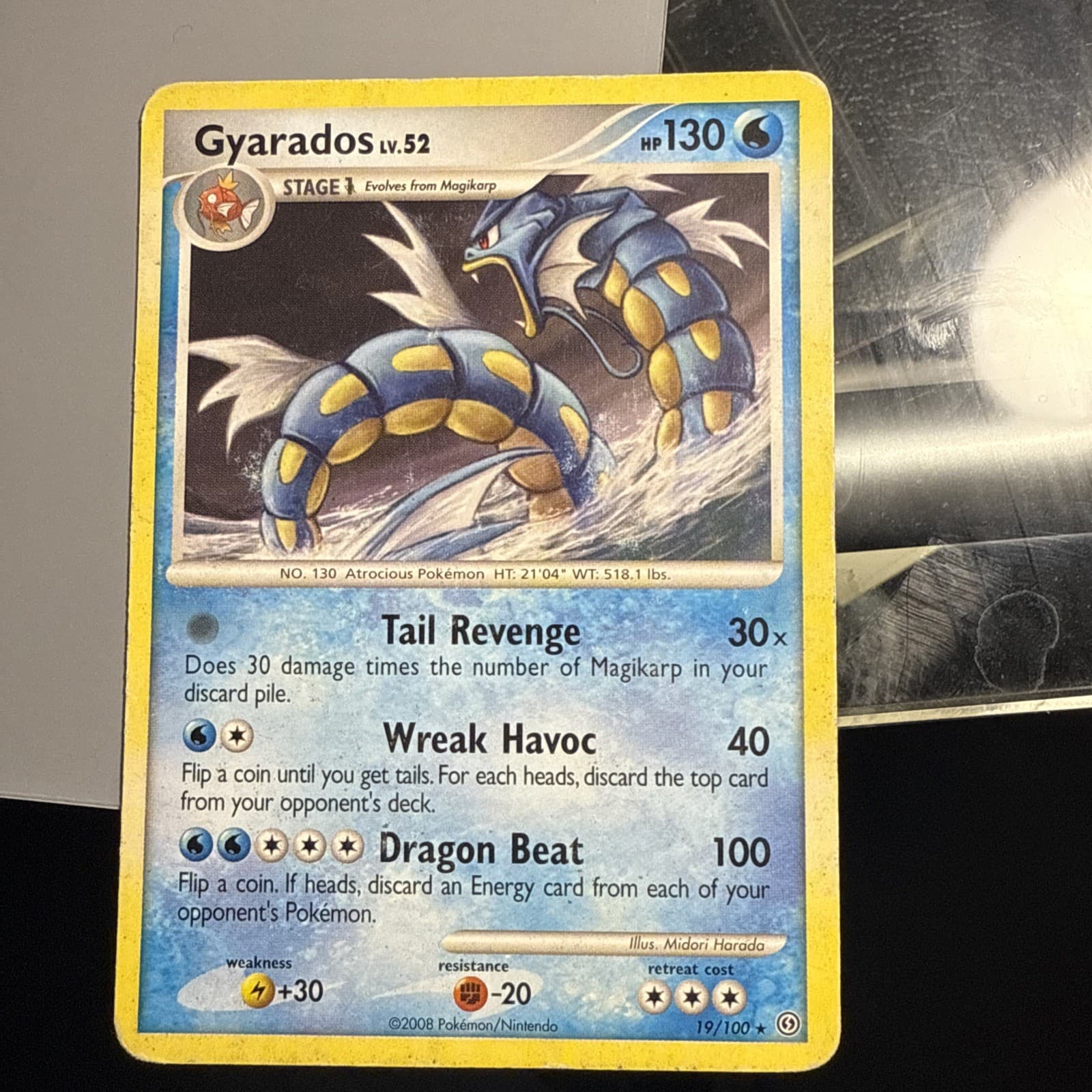 Pokemon Gyarados Stormfront Regular Card 19/100