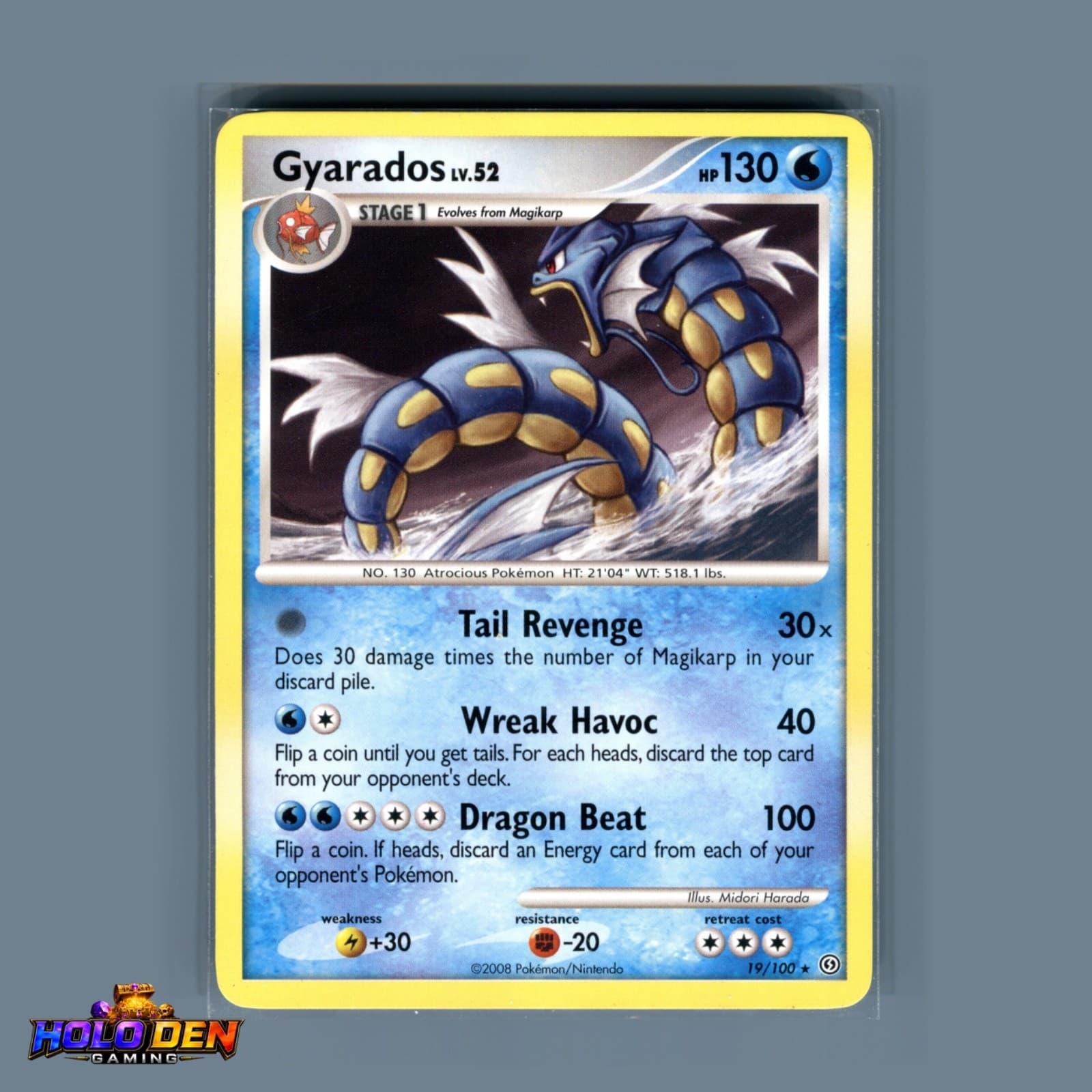 Gyarados 19/100 Stormfront Regular Rare - NM-MT