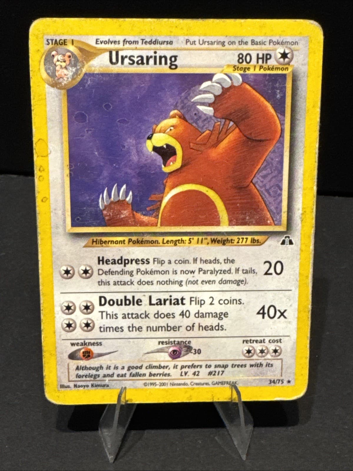 Ursaring 34/75 Neo Discovery Regular