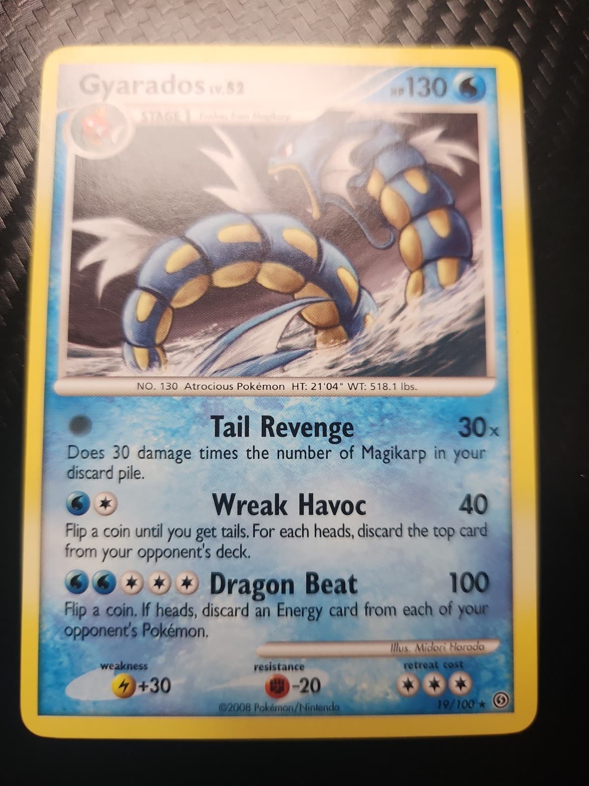 Pokemon Gyarados Stormfront Non Holo Rare 19/100 Lightly Played