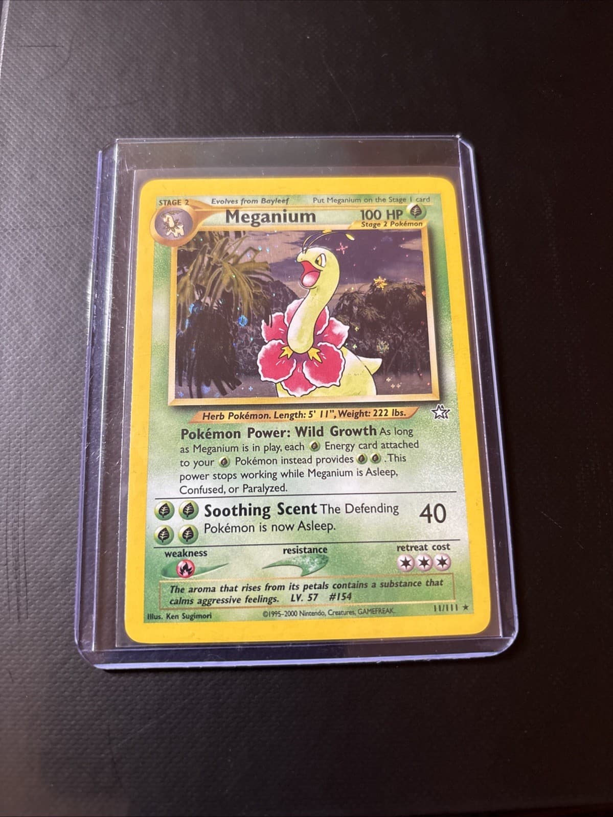 Meganium 11/111 Neo Genesis Holo