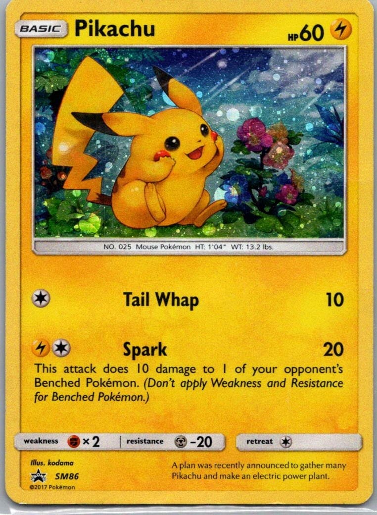 Pokemon TCG Pikachu SM86 SM Black Star Promos Holo D