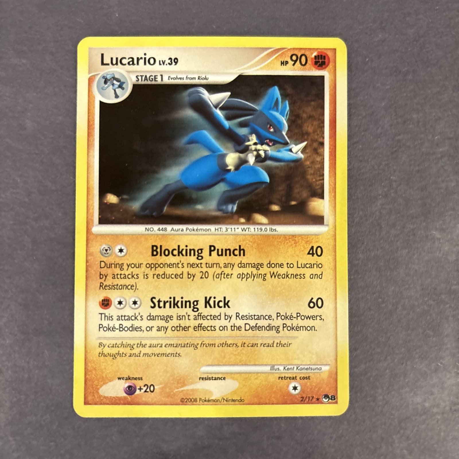 Lucario 2/17 Pokemon POP Series 8 Holo LP