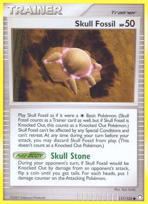 Skull Fossil - Mysterious Treasures